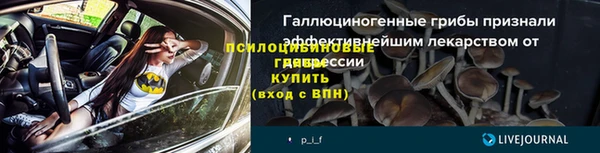 МДПВ Инсар
