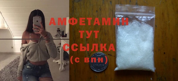МДПВ Инсар