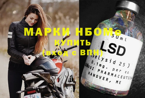 МДПВ Инсар