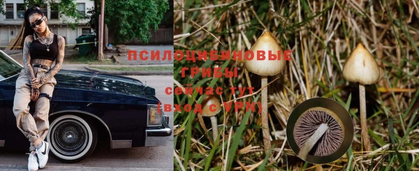 МДПВ Инсар
