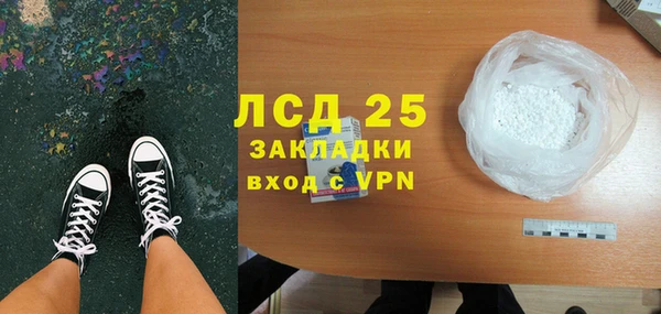 МДПВ Инсар