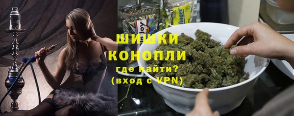 МДПВ Инсар