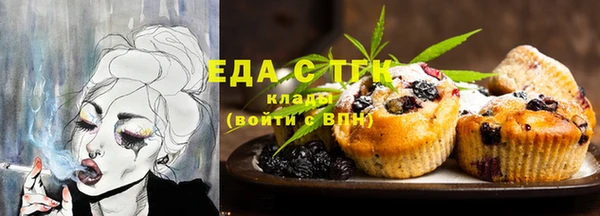 МДПВ Инсар