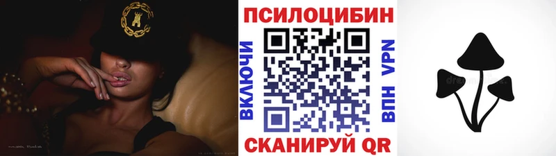Галлюциногенные грибы мицелий  Купить  Заозёрный 